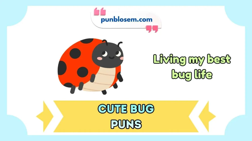Cute Bug Puns Captions