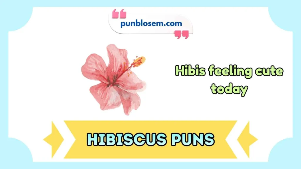 Hibiscus puns for Instagram