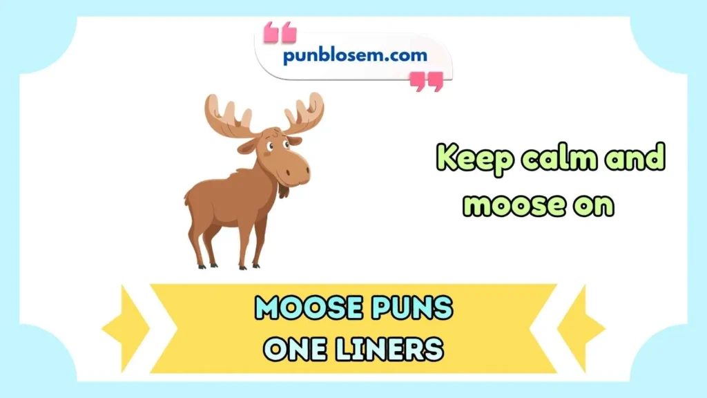 Moose puns one liners for Instagram