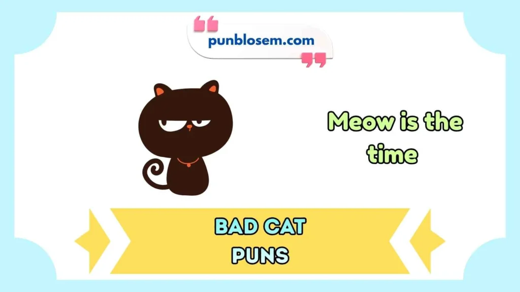 Bad Cat Puns Captions