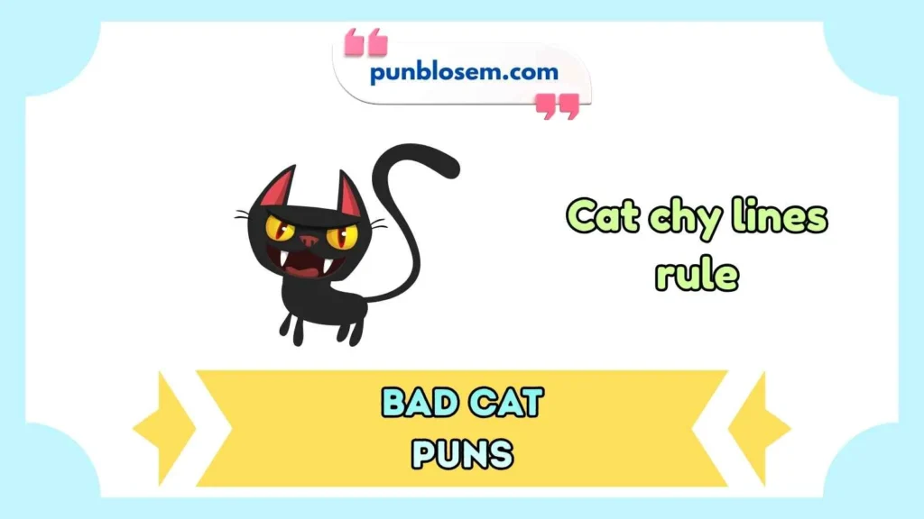Cat Jokes One Liners