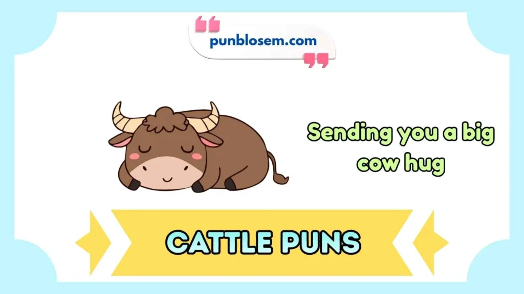 Cute cattle puns