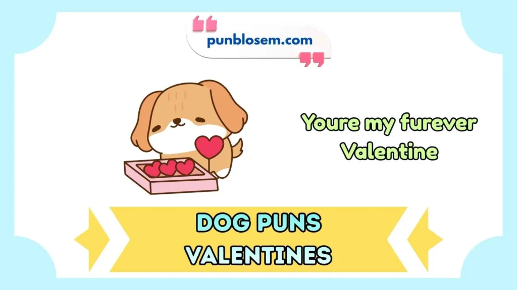 Dog puns valentines day