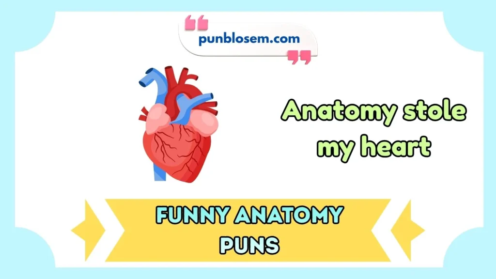 Funny Anatomy Puns Captions