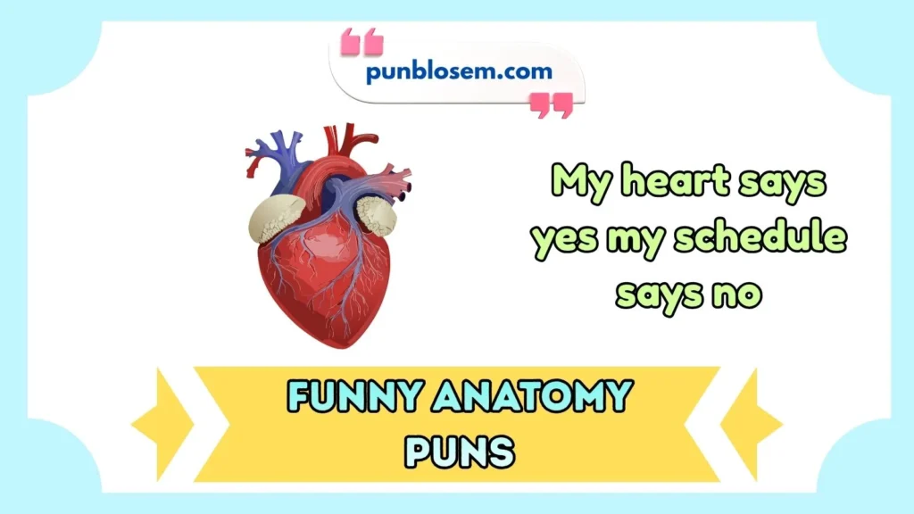 Funny Anatomy Puns for Adults