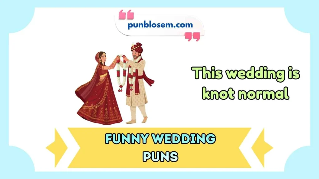 Funny Wedding Puns One Liners