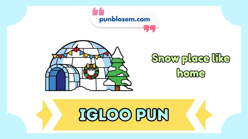  Igloo Puns for Instagram