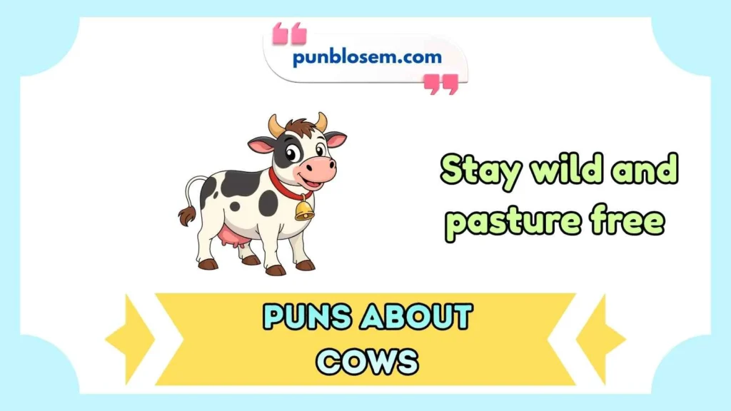 Puns about cows for Instagram