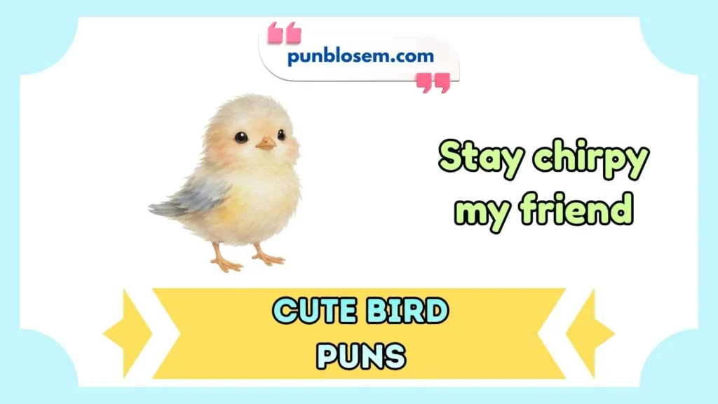 Cute Bird Puns