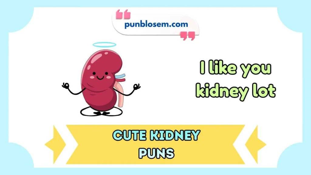 Cute Kidney Puns