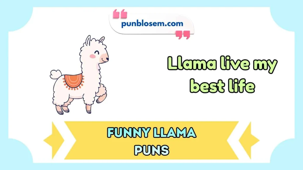 Funny Llama Puns