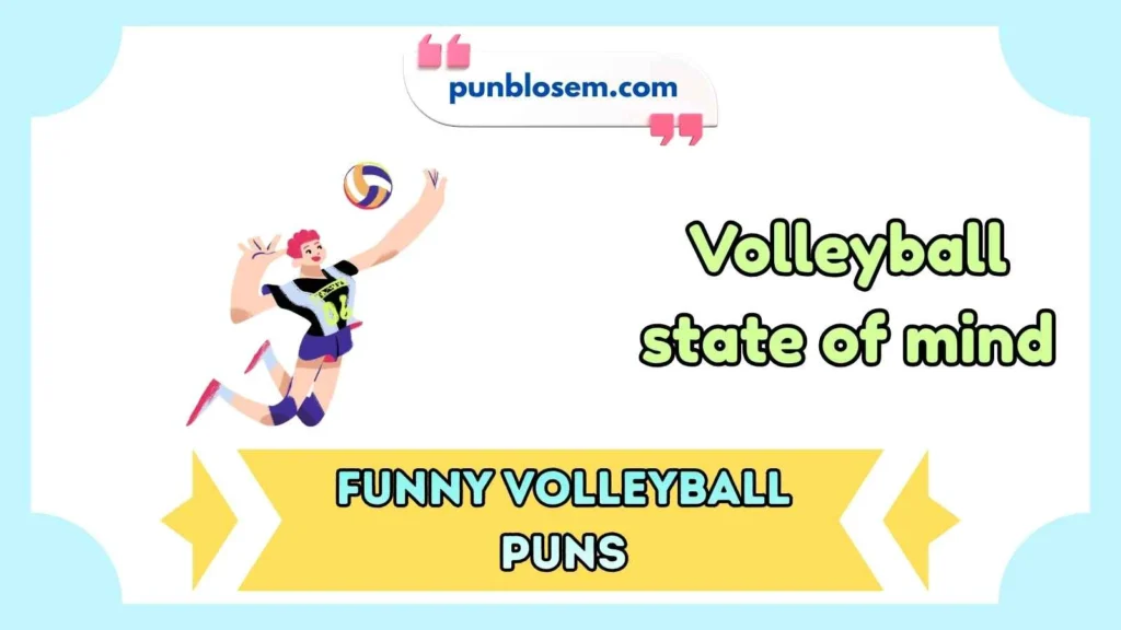 Funny Volleyball Puns