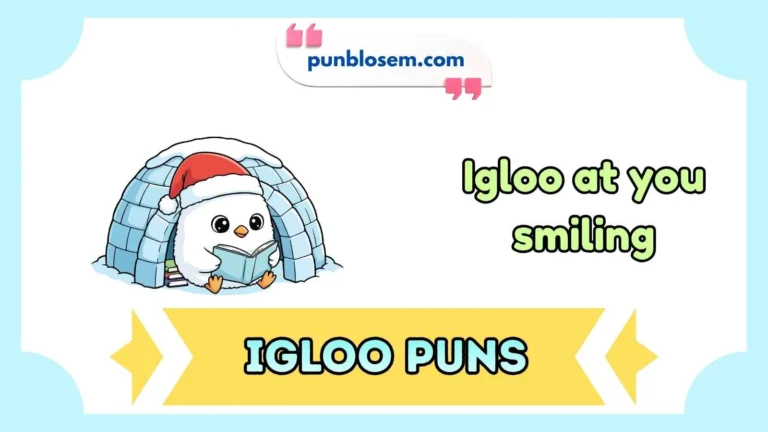 Igloo Puns