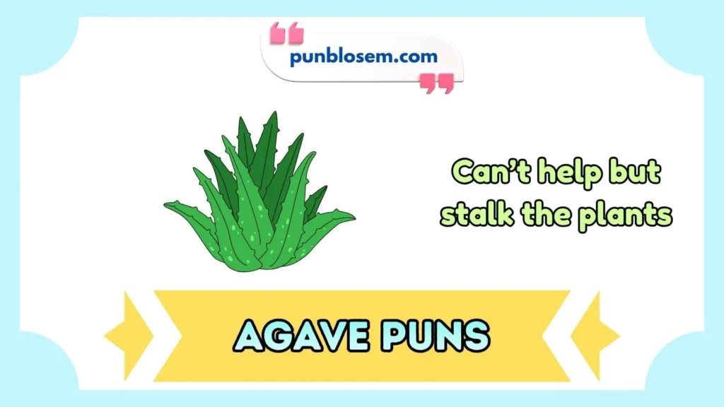agave puns