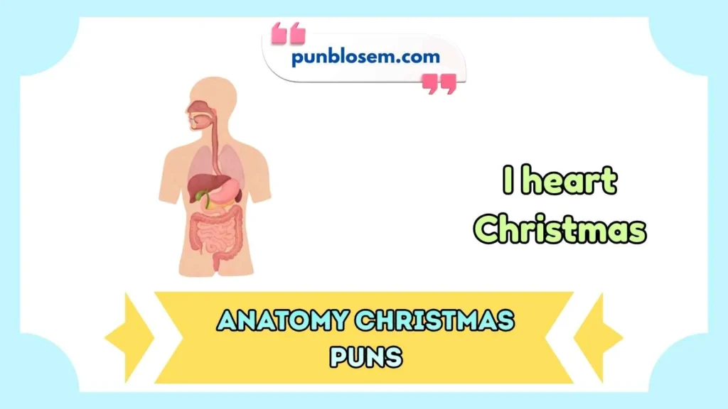 anatomy christmas puns