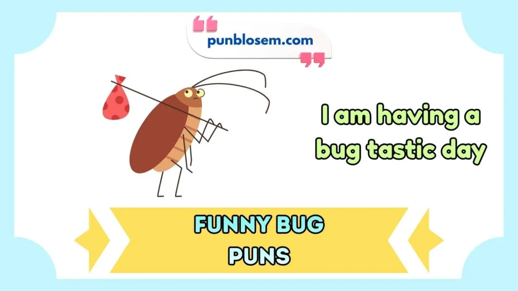 funny bug puns