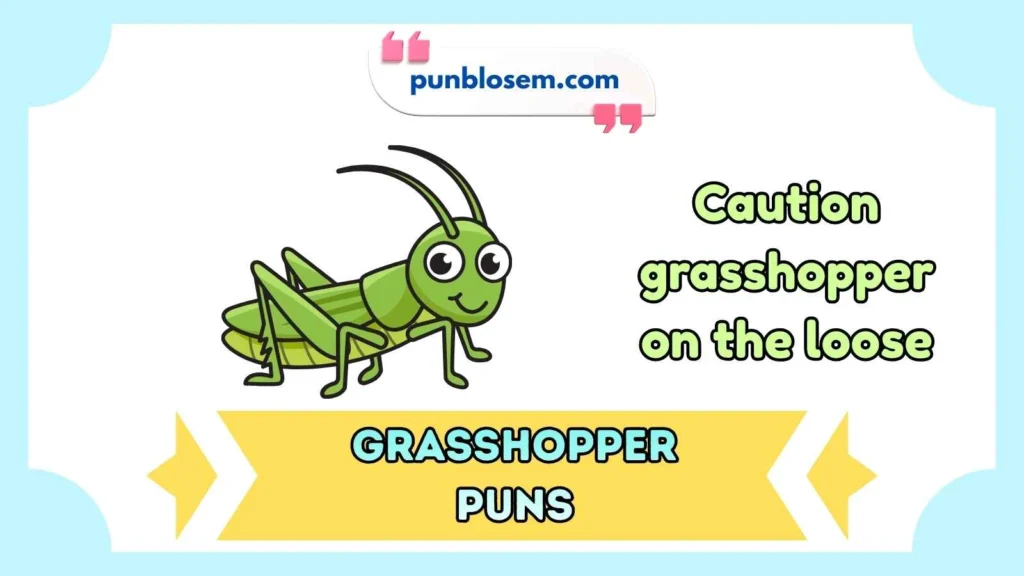 grasshopper puns