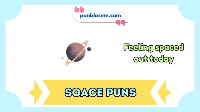 soace puns
