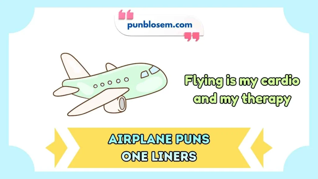 airplane puns one liners