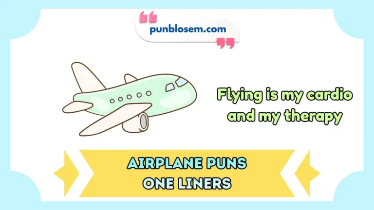 airplane puns one liners