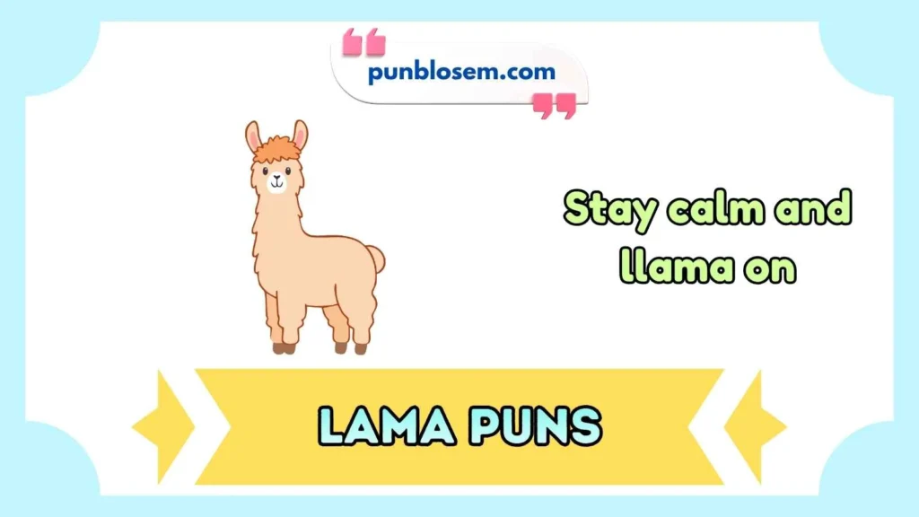 lama puns
