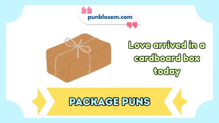 package puns