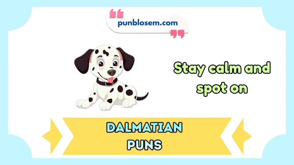 dalmatian puns