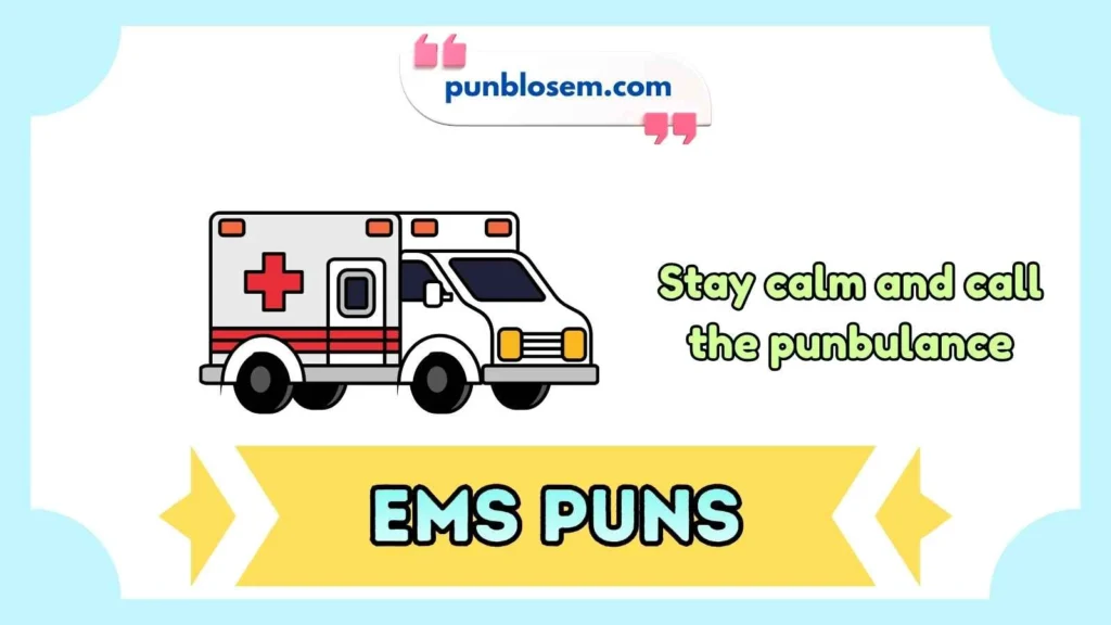 ems puns