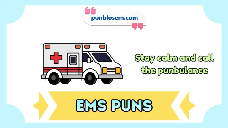 ems puns