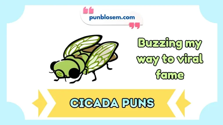 cicada puns