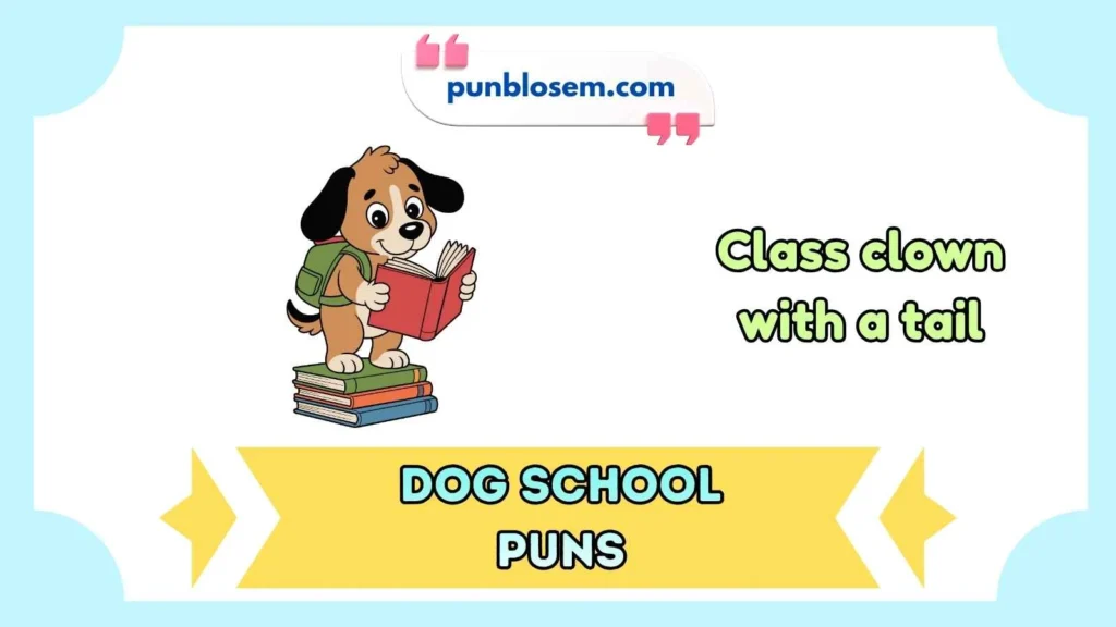 dog school puns