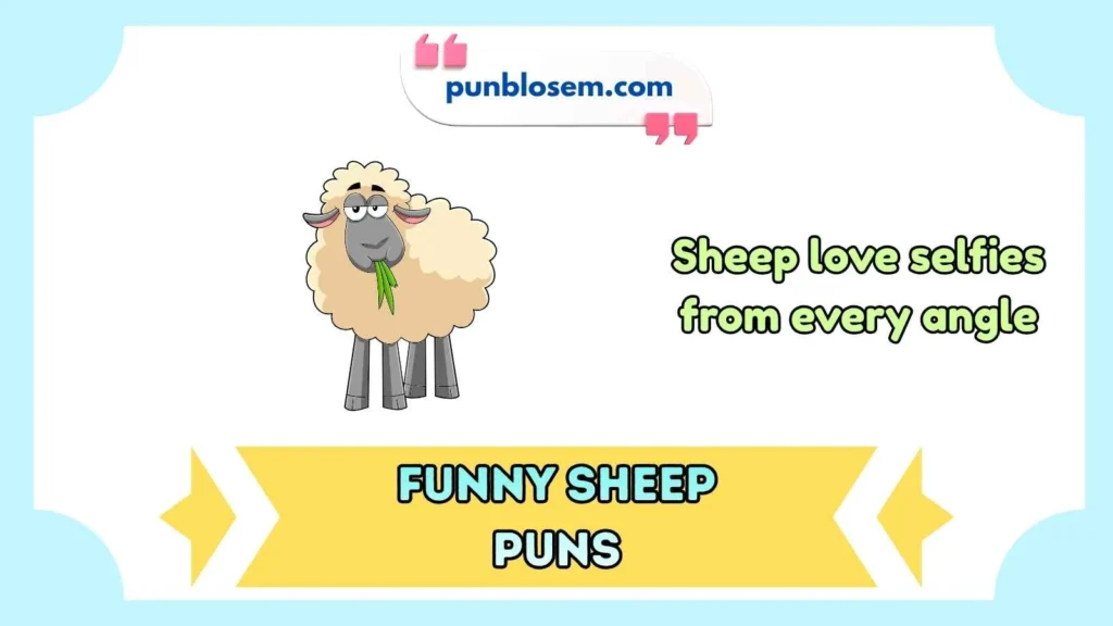 funny sheep puns